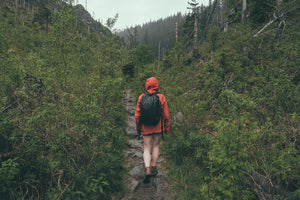 A hiker walks through the forest wearing the best rain jacket while hiking. 