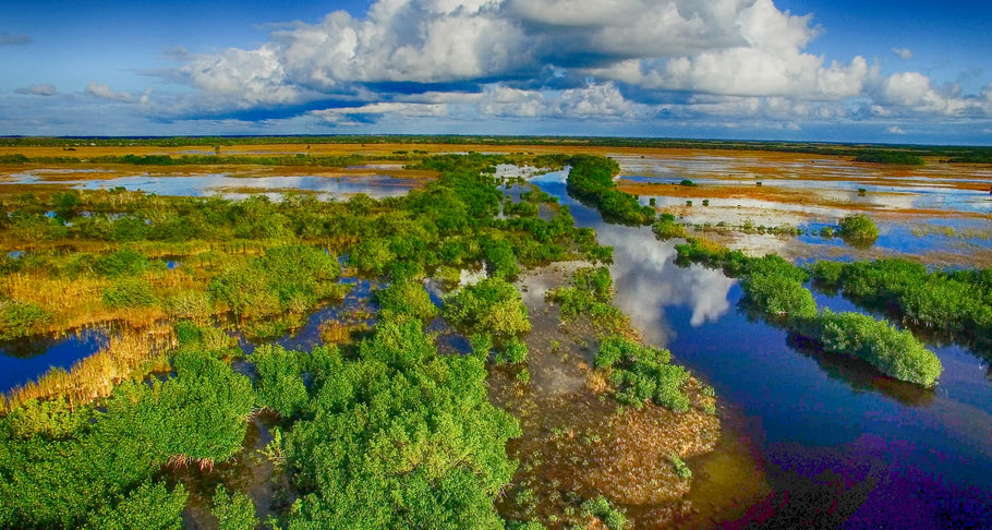 6 Facts About Florida Everglades National Park